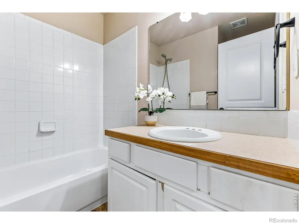 894 Durum Street Windsor, CO 80550