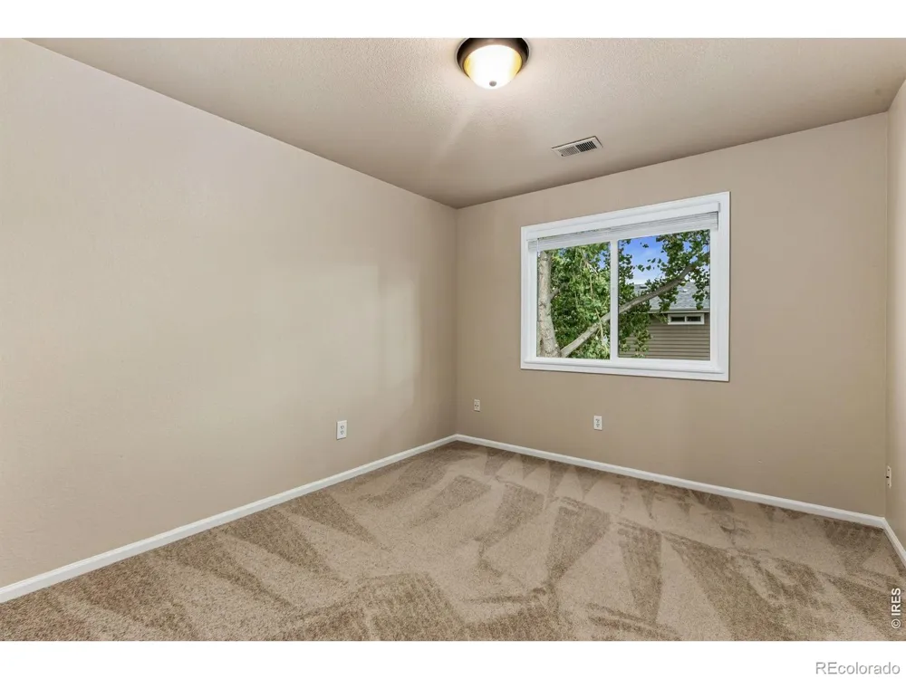 894 Durum Street Windsor, CO 80550