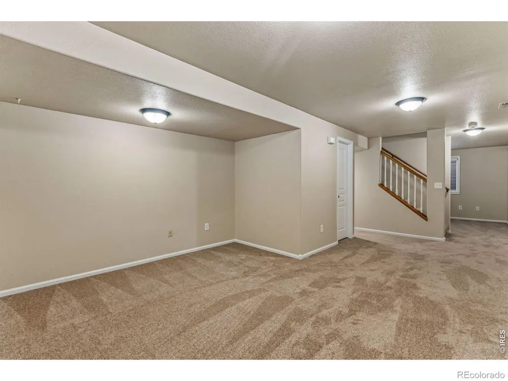894 Durum Street Windsor, CO 80550