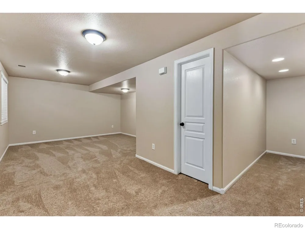 894 Durum Street Windsor, CO 80550