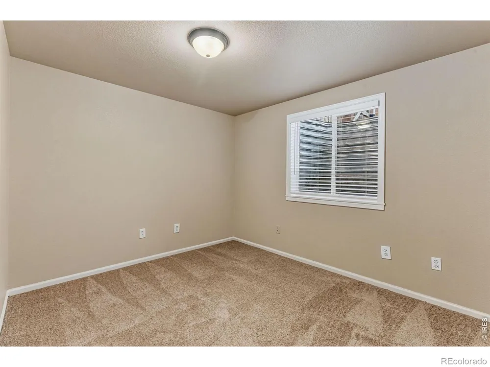 894 Durum Street Windsor, CO 80550