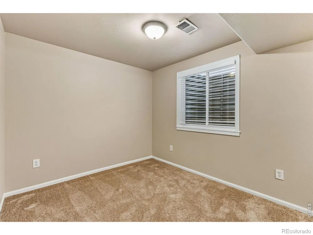 894 Durum Street Windsor, CO 80550
