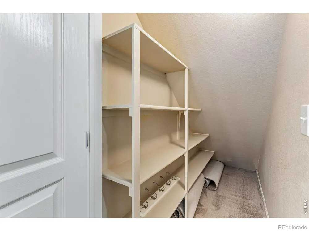 894 Durum Street Windsor, CO 80550