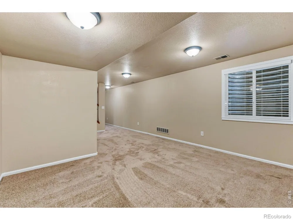 894 Durum Street Windsor, CO 80550