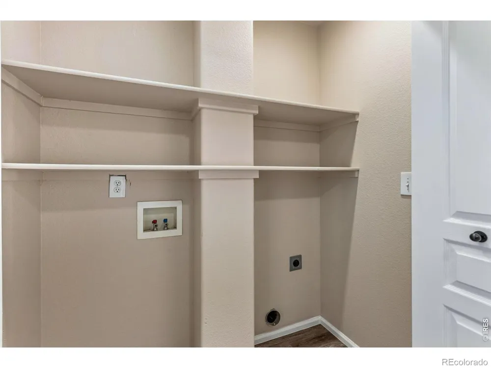 894 Durum Street Windsor, CO 80550