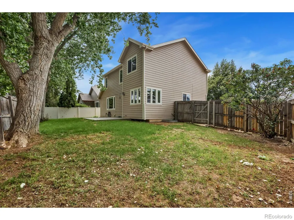 894 Durum Street Windsor, CO 80550