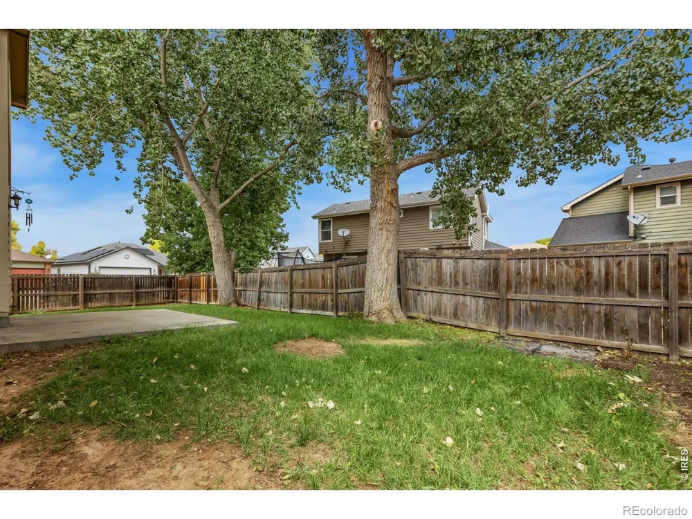 894 Durum Street Windsor, CO 80550