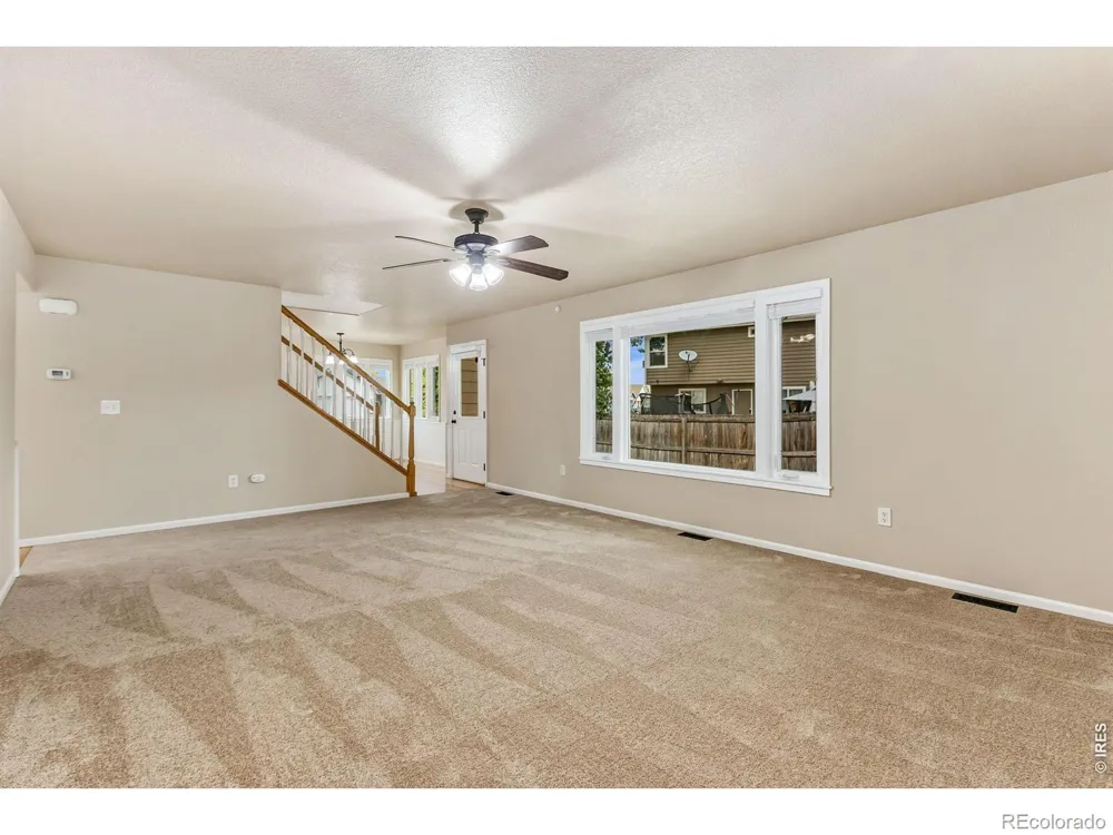 894 Durum Street Windsor, CO 80550