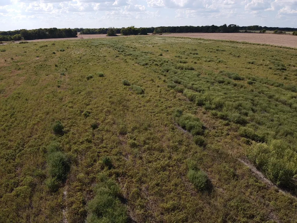 CR 4116 Clarksville, TX 75426