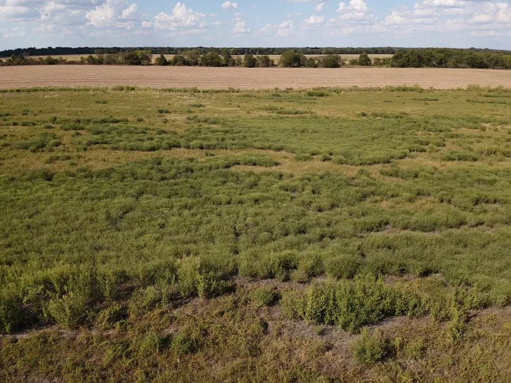 CR 4116 Clarksville, TX 75426