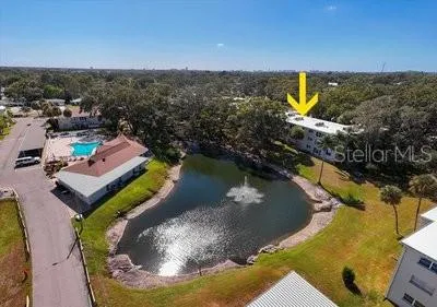 821 PATRICIA AVENUE #202 Dunedin, FL 34698