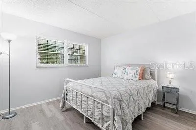 821 PATRICIA AVENUE #202 Dunedin, FL 34698
