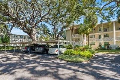 821 PATRICIA AVENUE #202 Dunedin, FL 34698