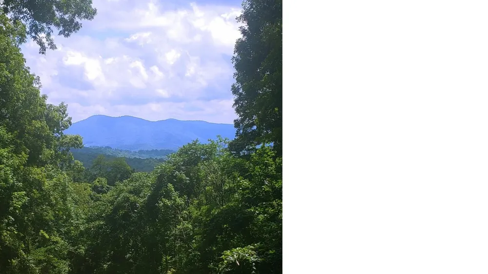 2705 Sand Branch Road Black Mountain, NC 28711