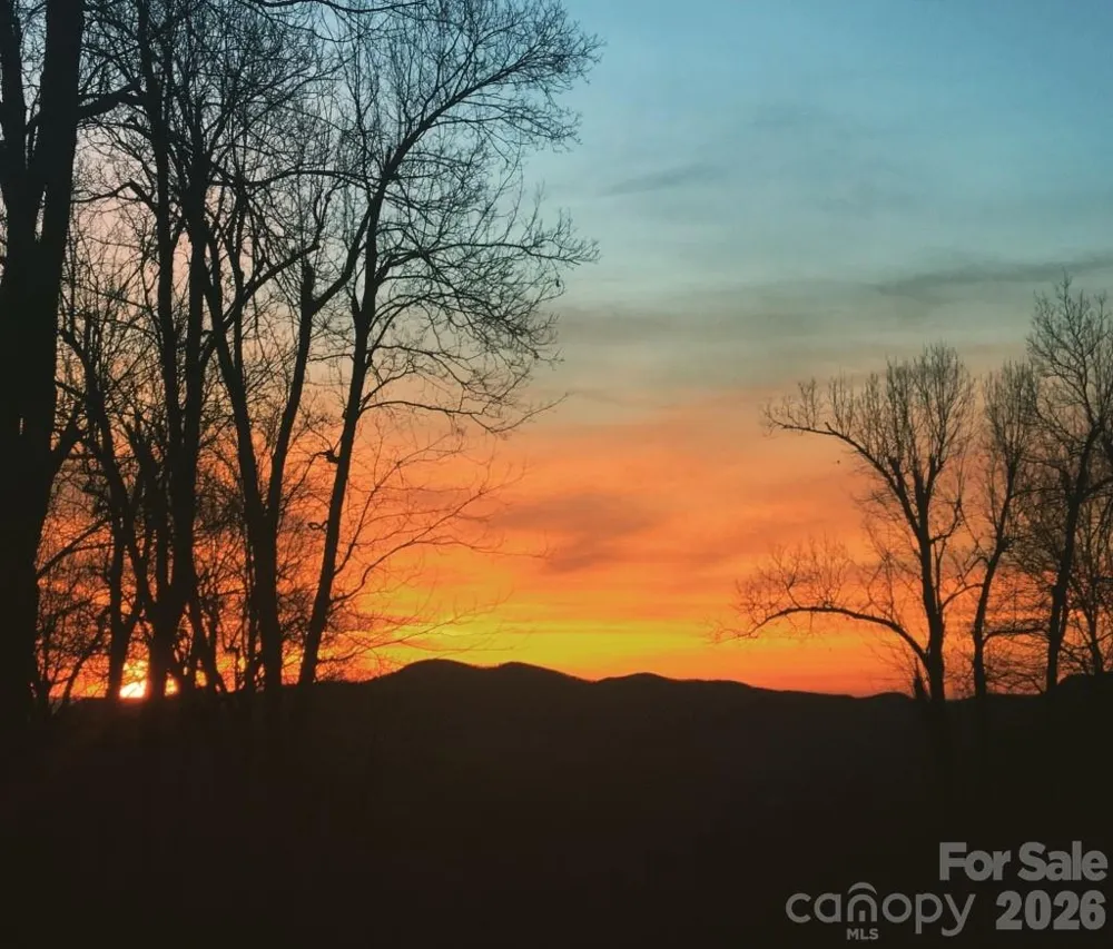 2705 Sand Branch Road Black Mountain, NC 28711