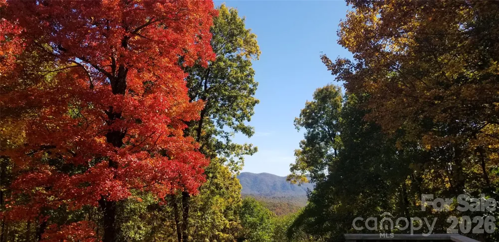 2705 Sand Branch Road Black Mountain, NC 28711