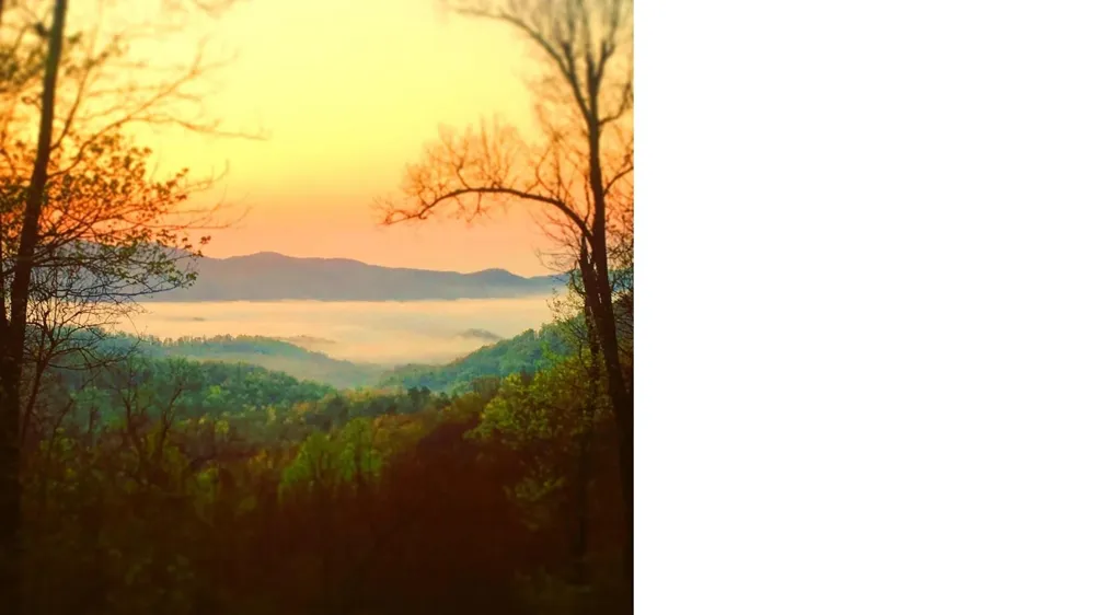 2705 Sand Branch Road Black Mountain, NC 28711