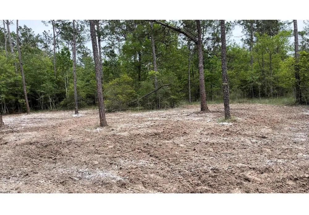 Langham Kountze, TX 77625