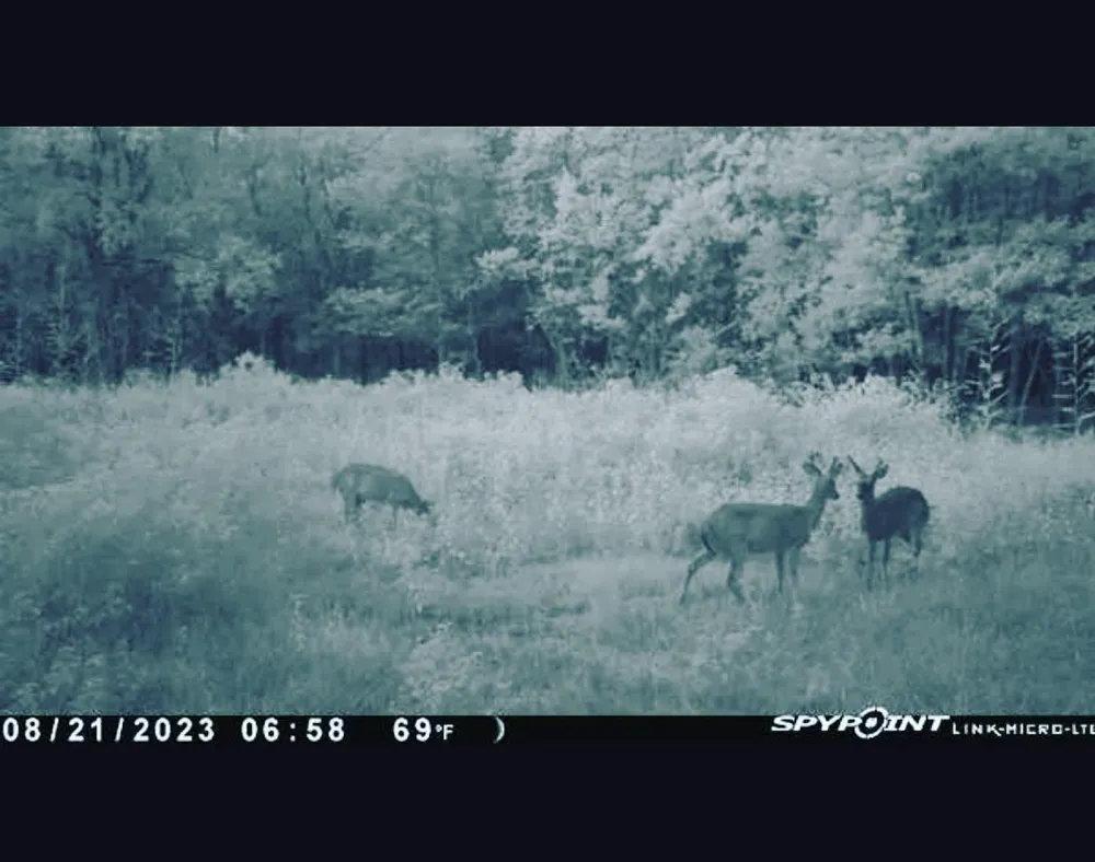 Langham Kountze, TX 77625