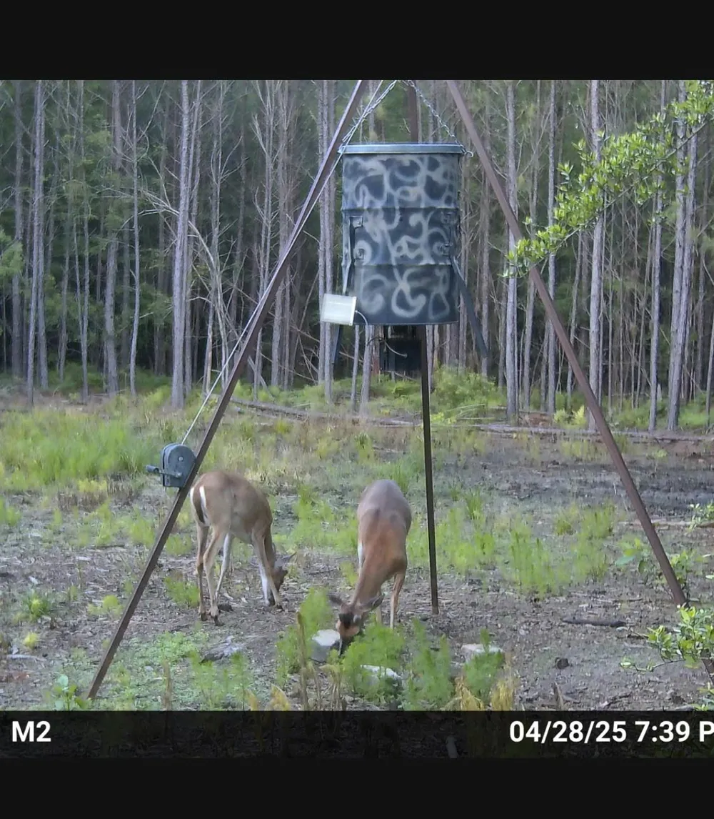 Langham Kountze, TX 77625
