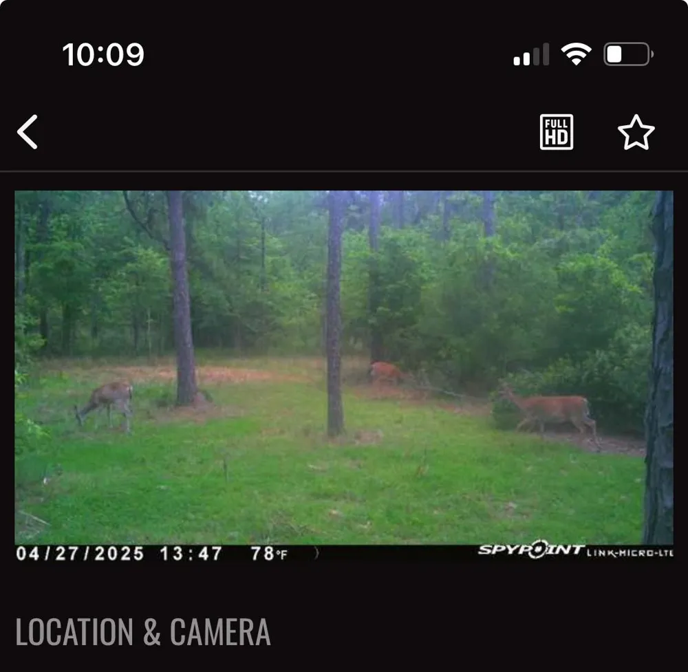 Langham Kountze, TX 77625