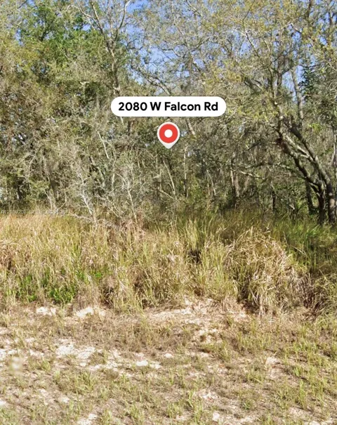 2080 W Falcon Rd