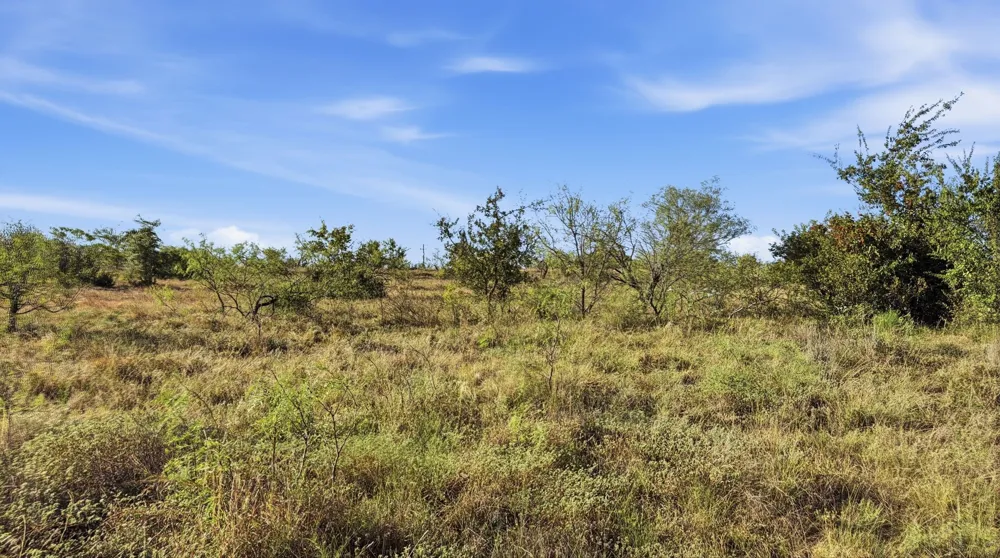 Twisted Creek Ranch Gustine, TX 76455