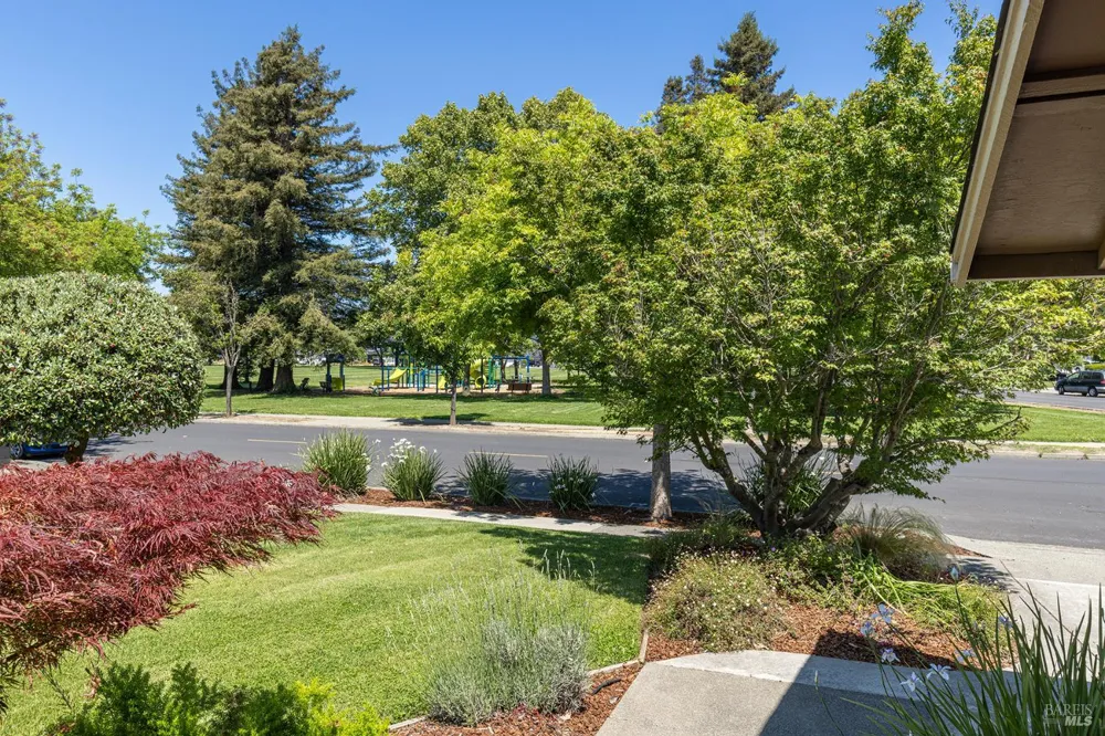 2491 Vine Hill Drive Napa, CA 94558