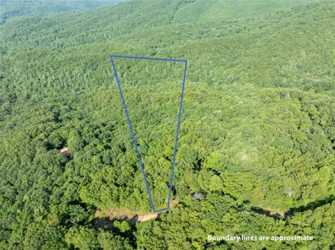 LOT 9 Brushy Top Drive