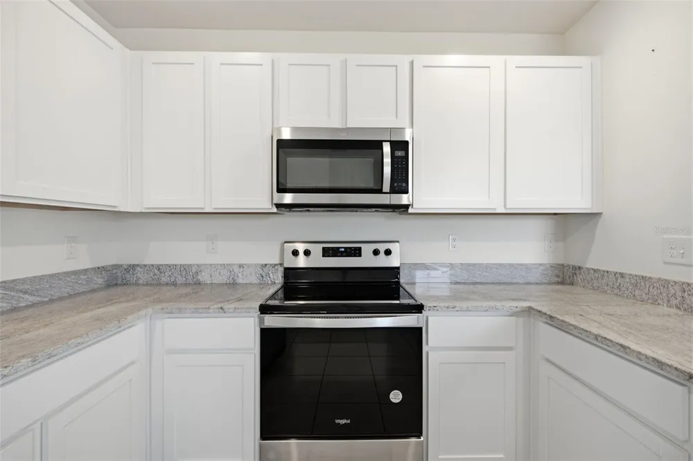 34118 JASPER STONE DRIVE Wesley Chapel, FL 33543