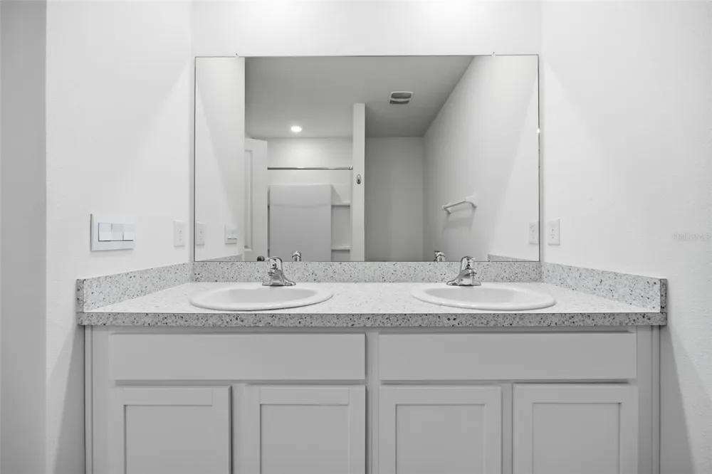 34118 JASPER STONE DRIVE Wesley Chapel, FL 33543