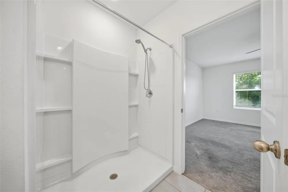 34118 JASPER STONE DRIVE Wesley Chapel, FL 33543