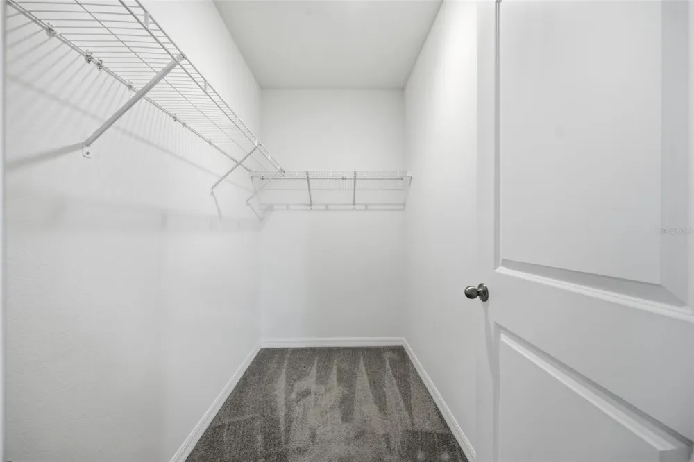 34118 JASPER STONE DRIVE Wesley Chapel, FL 33543