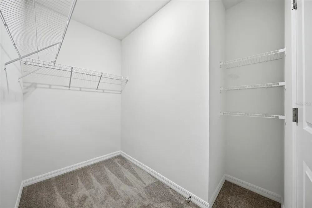 34118 JASPER STONE DRIVE Wesley Chapel, FL 33543