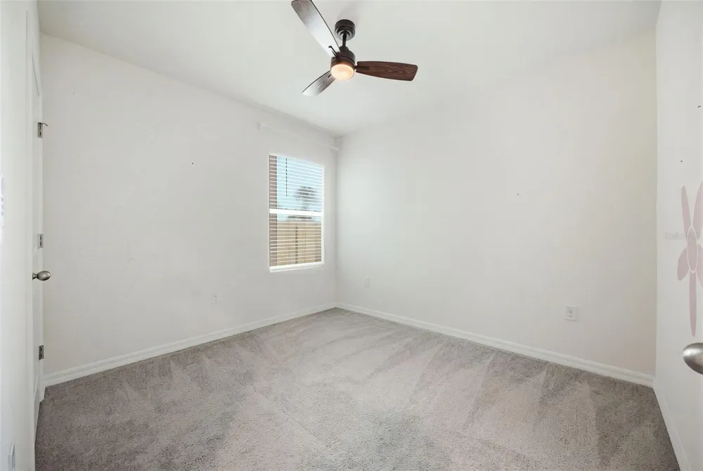34118 JASPER STONE DRIVE Wesley Chapel, FL 33543