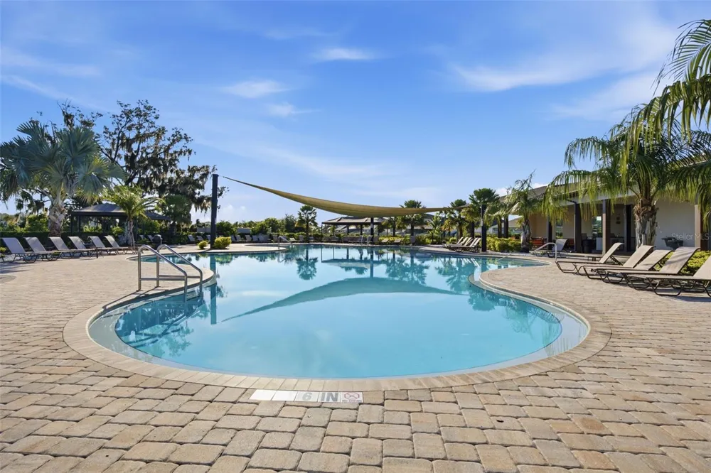 34118 JASPER STONE DRIVE Wesley Chapel, FL 33543