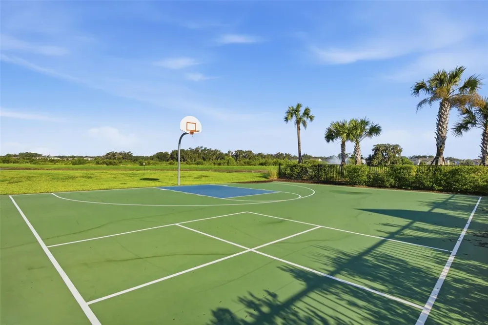 34118 JASPER STONE DRIVE Wesley Chapel, FL 33543