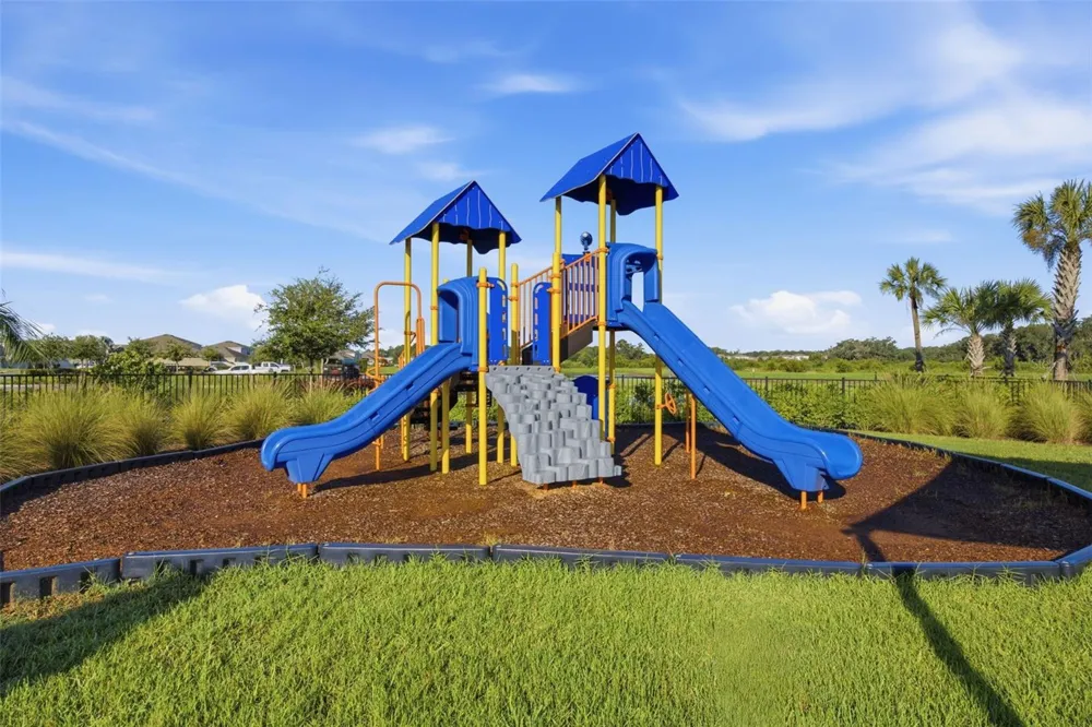 34118 JASPER STONE DRIVE Wesley Chapel, FL 33543