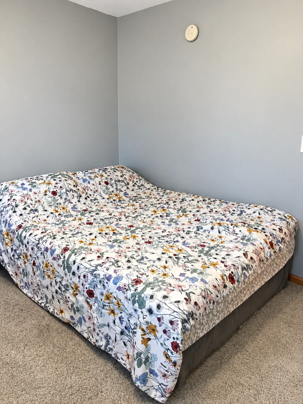 477 Shannon Drive Big Lake, MN 55309