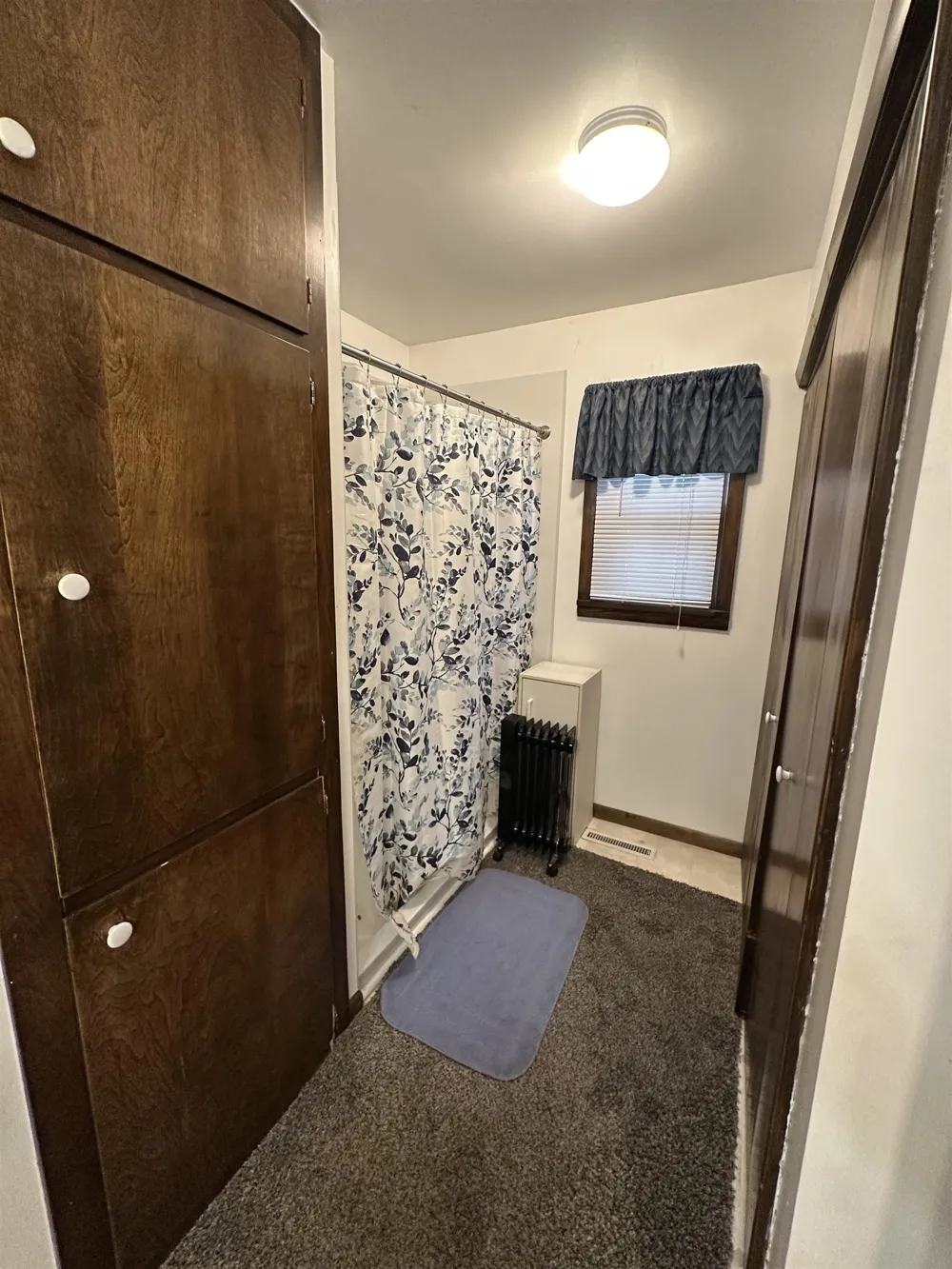 333 Chippewa Shepherd Village, MI 48838
