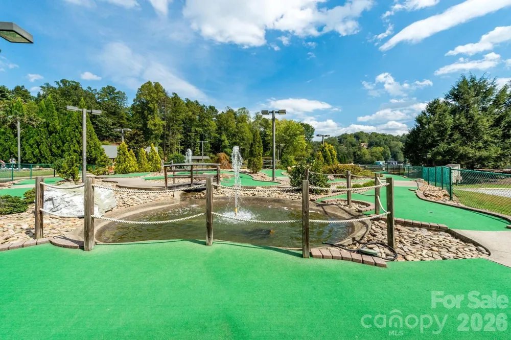 108 June Court Lake Lure, NC 28746