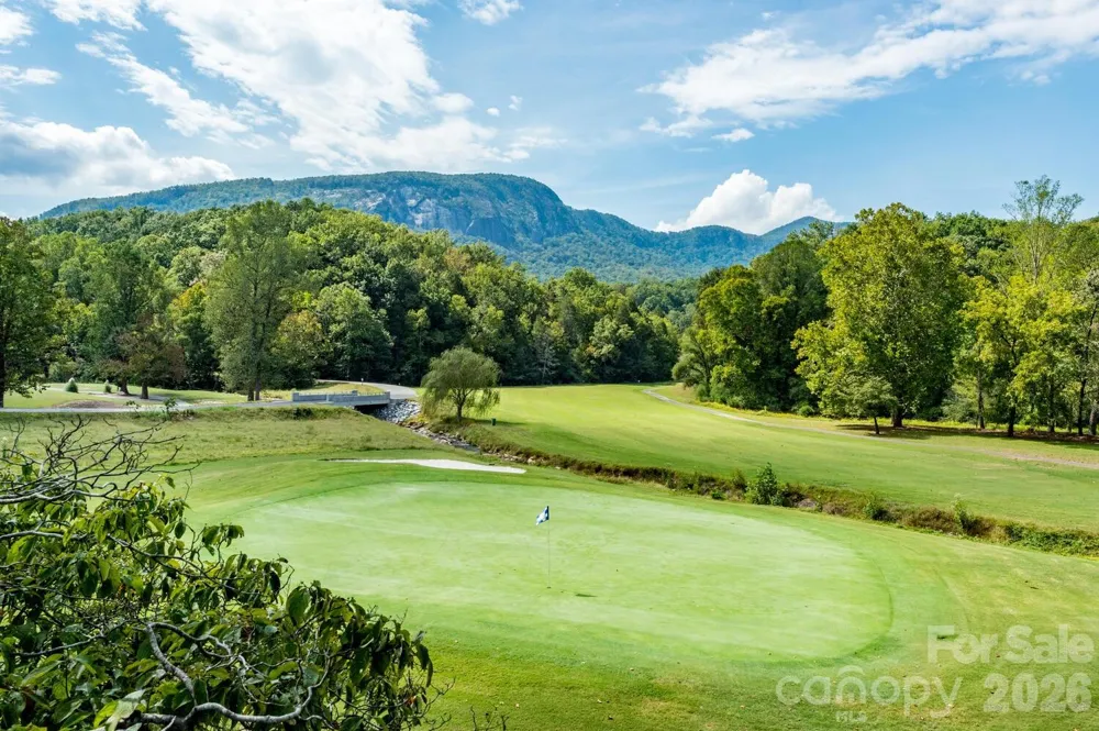 108 June Court Lake Lure, NC 28746