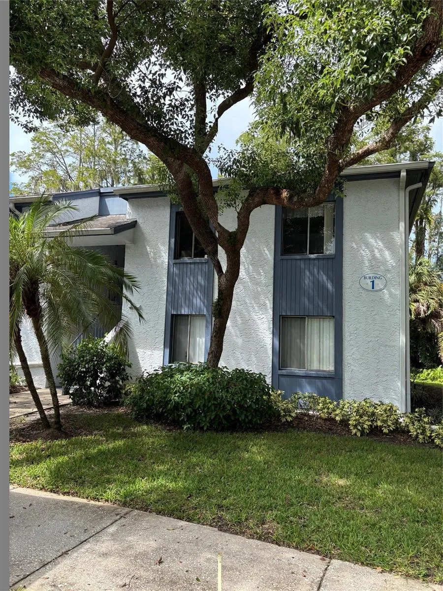 104 CYPRESS LANE #104 Oldsmar, FL 34677
