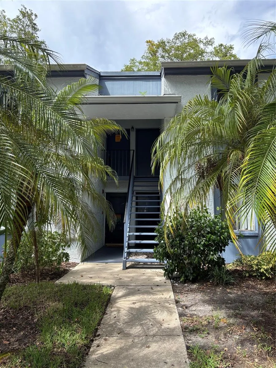 104 CYPRESS LANE #104 Oldsmar, FL 34677
