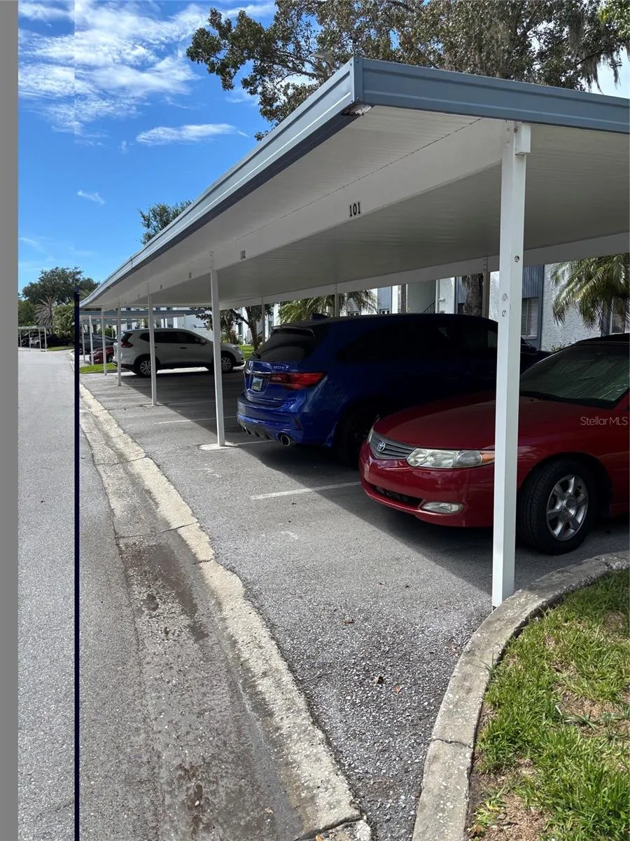 104 CYPRESS LANE #104 Oldsmar, FL 34677