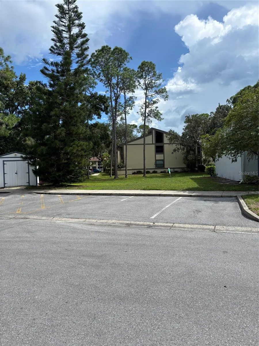 104 CYPRESS LANE #104 Oldsmar, FL 34677