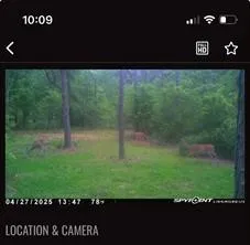 Langham Road Kountze, TX 77625