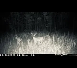 Langham Road Kountze, TX 77625