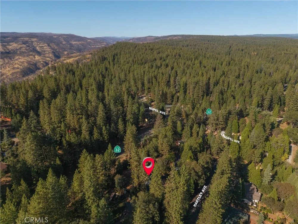 4737 Hartley Forest Ranch, CA 95942