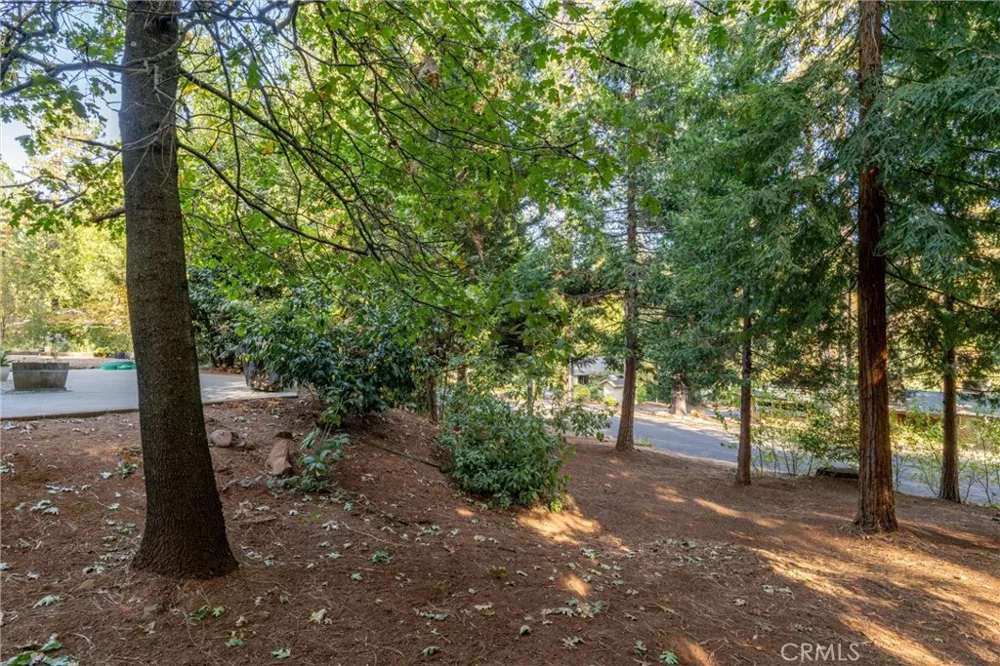 4737 Hartley Forest Ranch, CA 95942